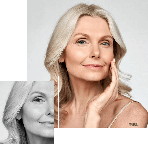 image of an attractive mature woman image of an attractive mature woman